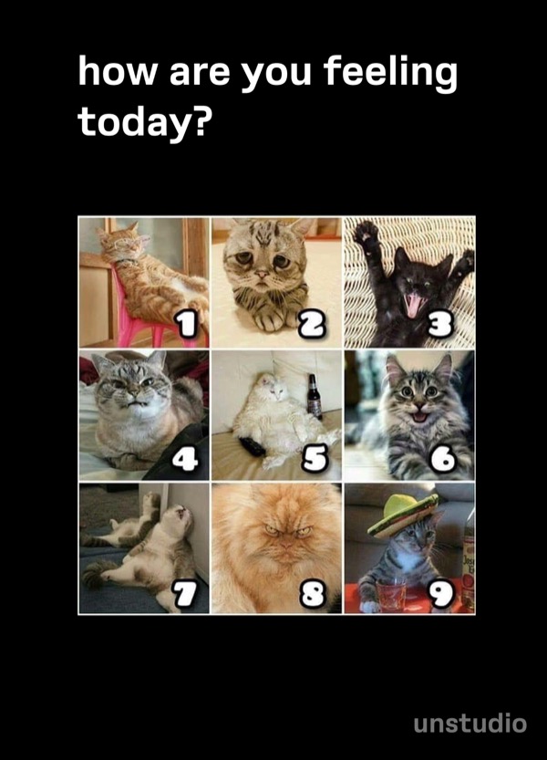 How Are You Feeling Today?